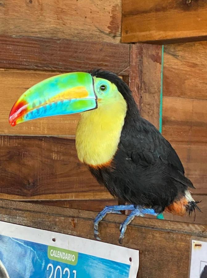 Palm Beach Hostal Guachaca エクステリア 写真